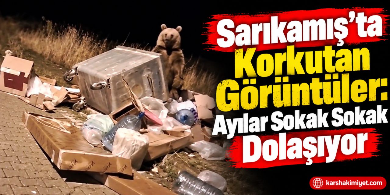 Sarıkamış’ta Korkutan Görüntüler: Ayılar Sokak Sokak Dolaşıyor