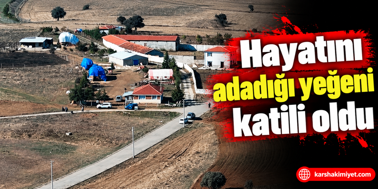 Hayatını adadığı yeğeni katili oldu