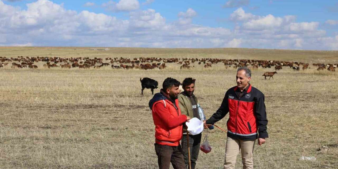 Kars’ta çobanlar sürülerinin başında alın teri döküyor