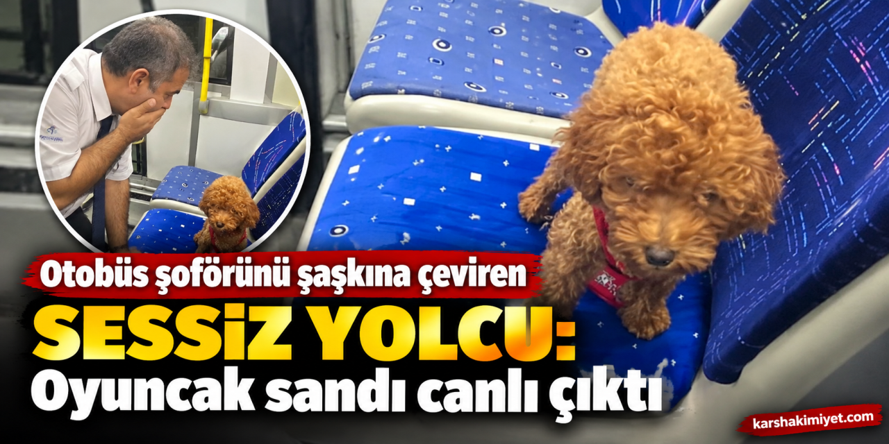 otobüs şoförünü şaşkına çeviren sessiz yolcu: Oyuncak sandı canlı çıktı