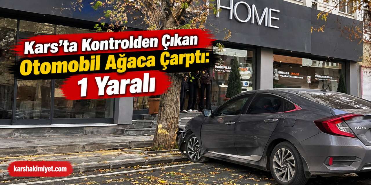 Kars’ta Kontrolden Çıkan Otomobil Ağaca Çarptı: 1 Yaralı