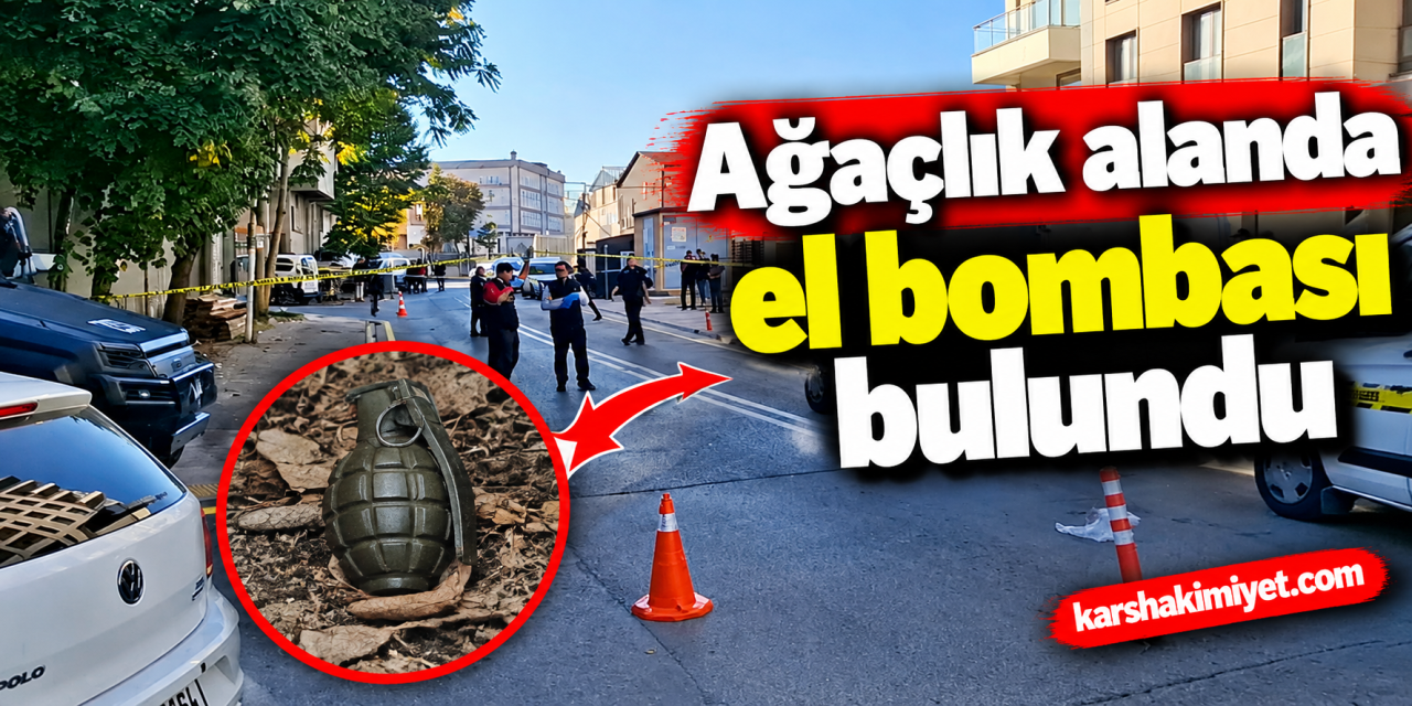 ağaçlık alanda el bombası bulundu