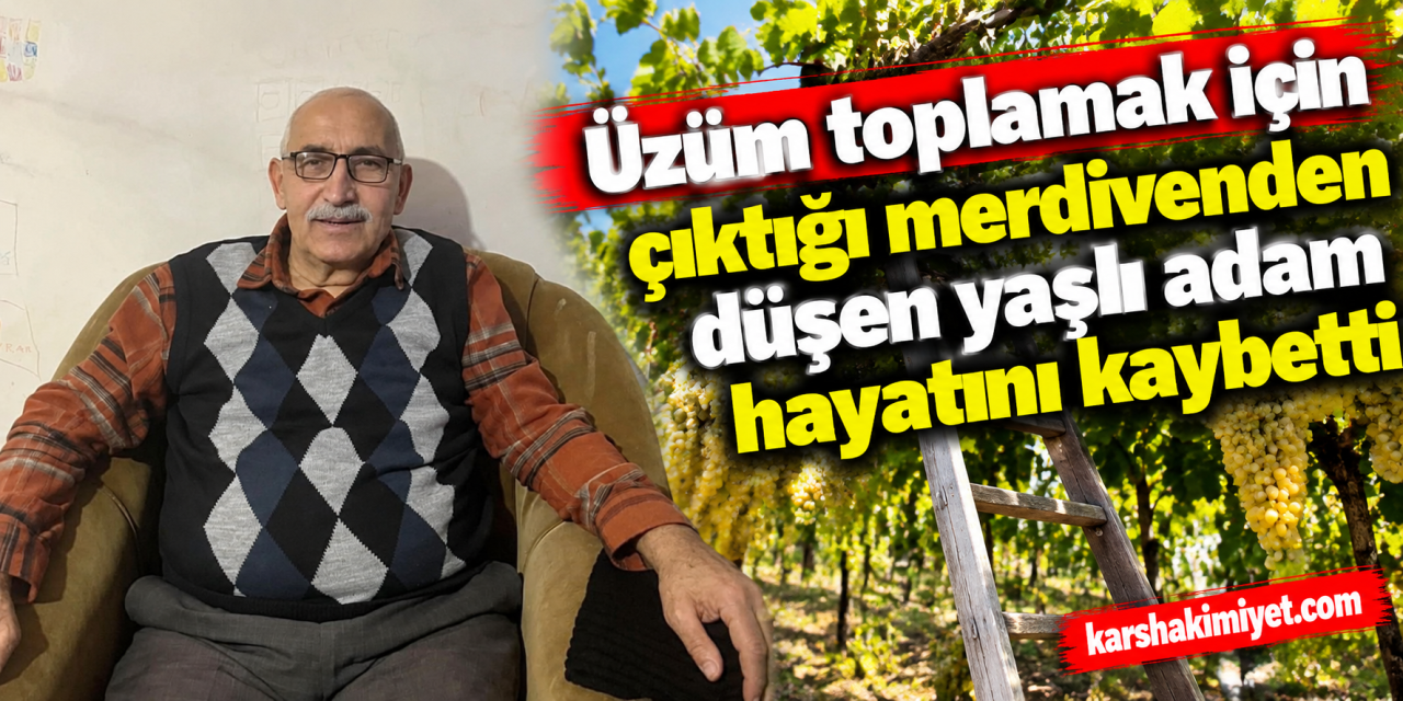 Üzüm toplamak için çıktığı merdivenden düşen yaşlı adam hayatını kaybetti