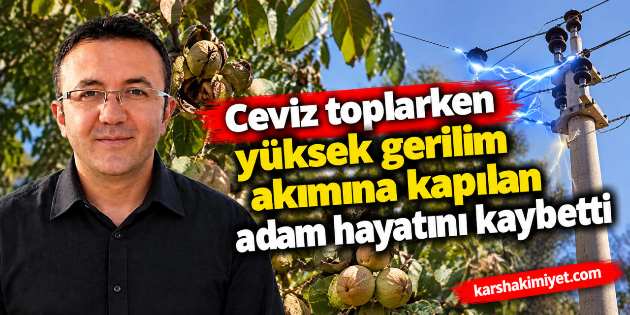 Ceviz toplarken yüksek gerilim akımına kapılan adam hayatını kaybetti