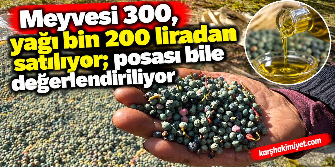 Meyvesi 300, yağı bin 200 liradan satılıyor; posası bile değerlendiriliyor