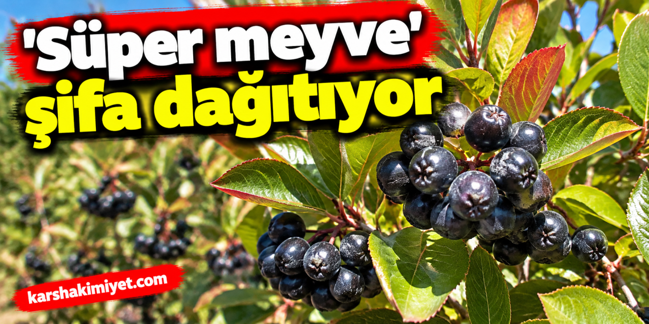 'Süper meyve' şifa dağıtıyor