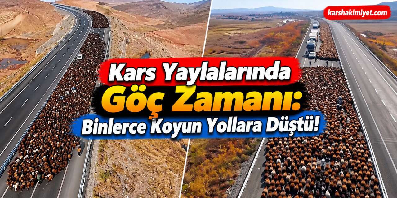 Kars Yaylalarında Göç Zamanı: Binlerce Koyun Yollara Düştü!