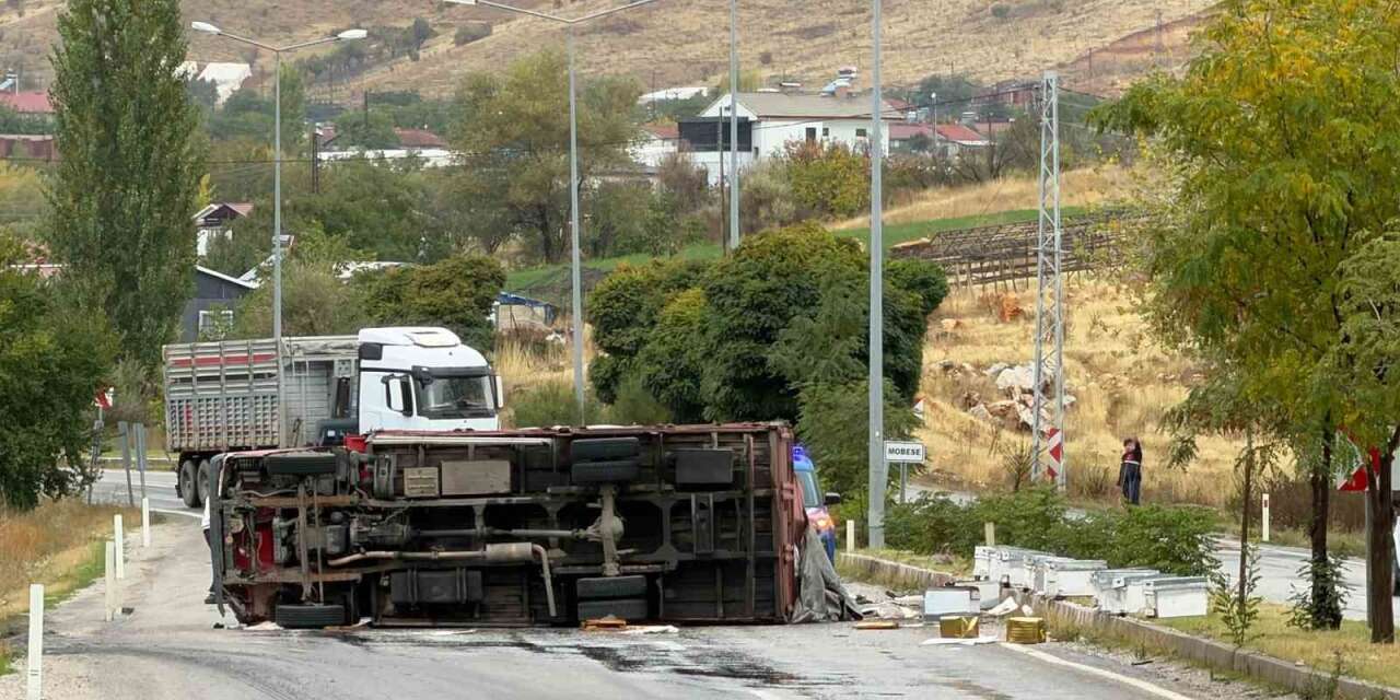 Malatya’da arı yüklü kamyon devrildi: 2 yaralı