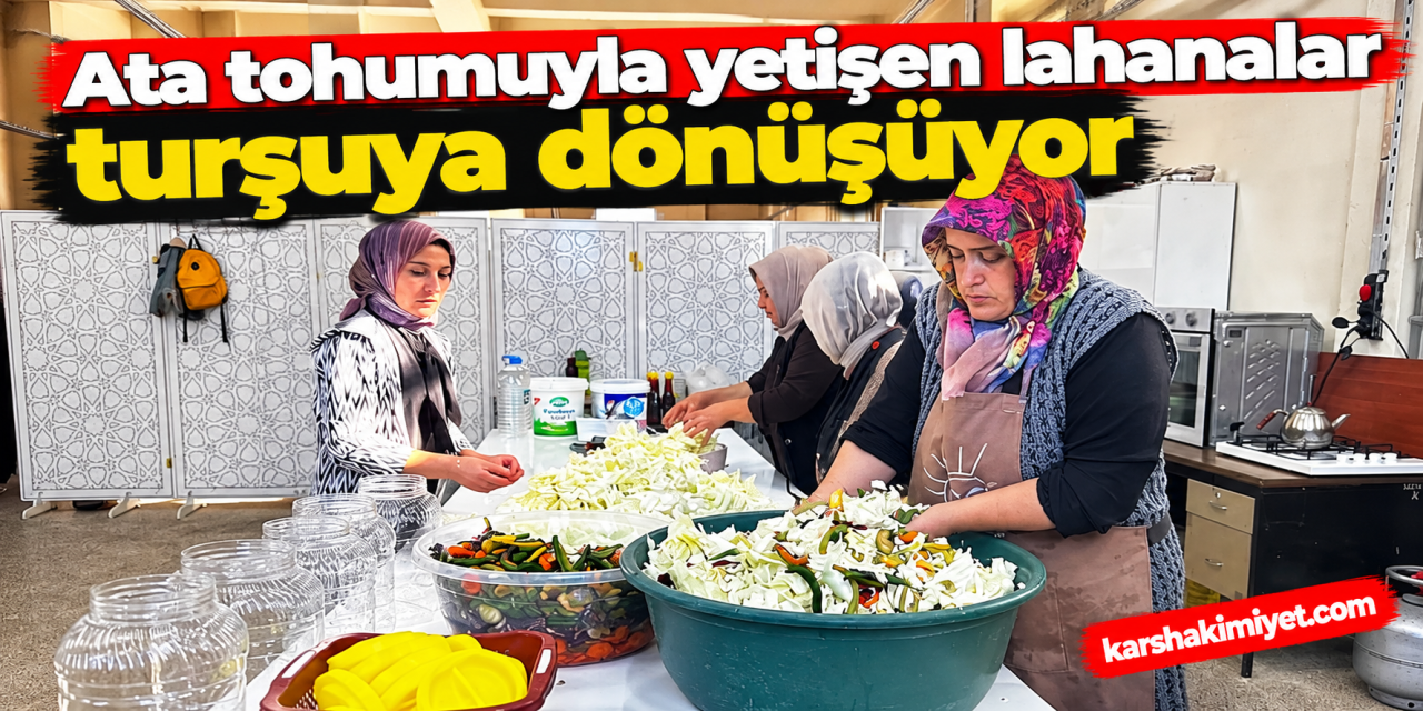 ata tohumuyla yetişen lahanalar turşuya dönüşüyor