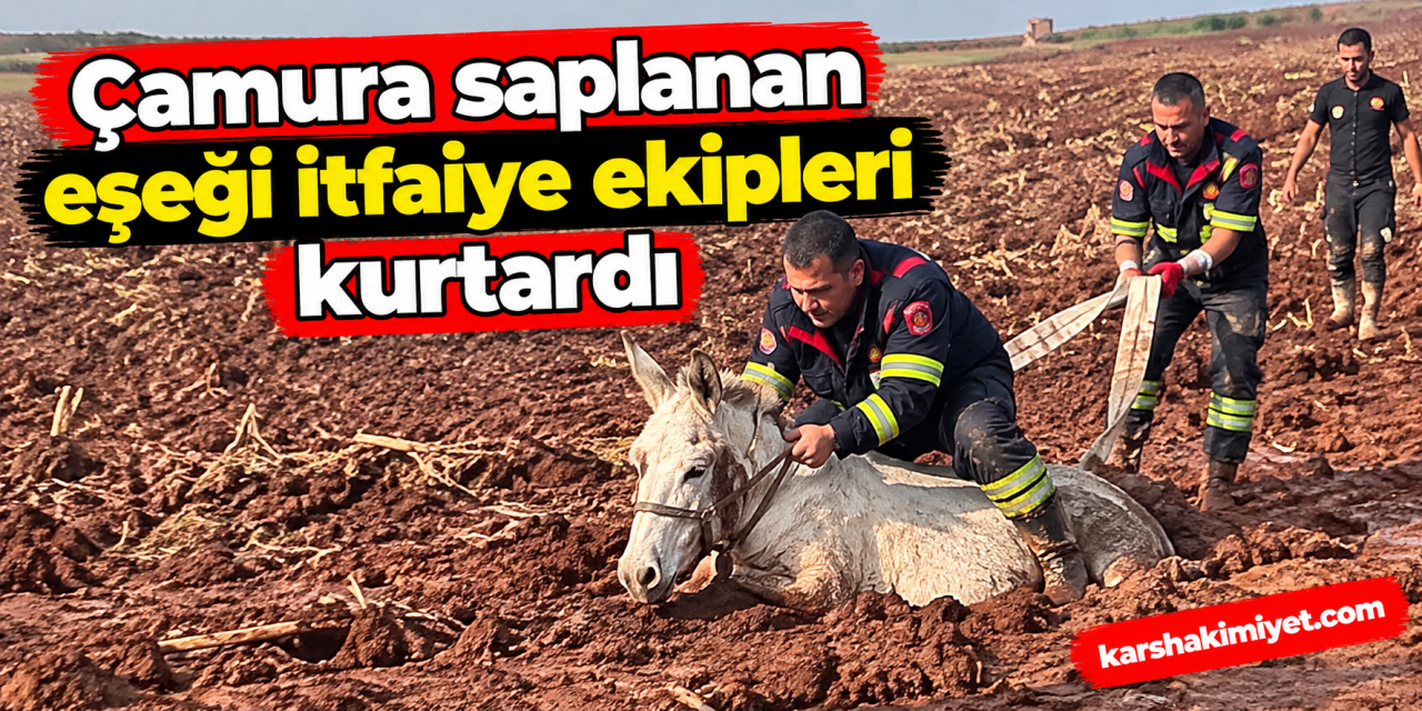 Çamura saplanan eşeği itfaiye ekipleri kurtardı