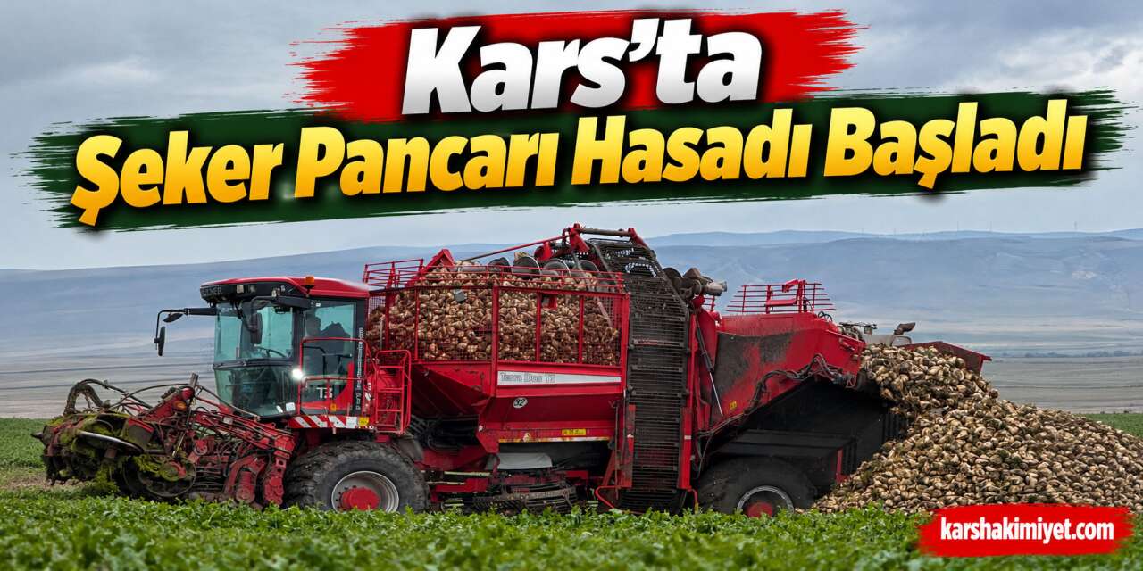 Kars’ta Şeker Pancarı Hasadı Başladı