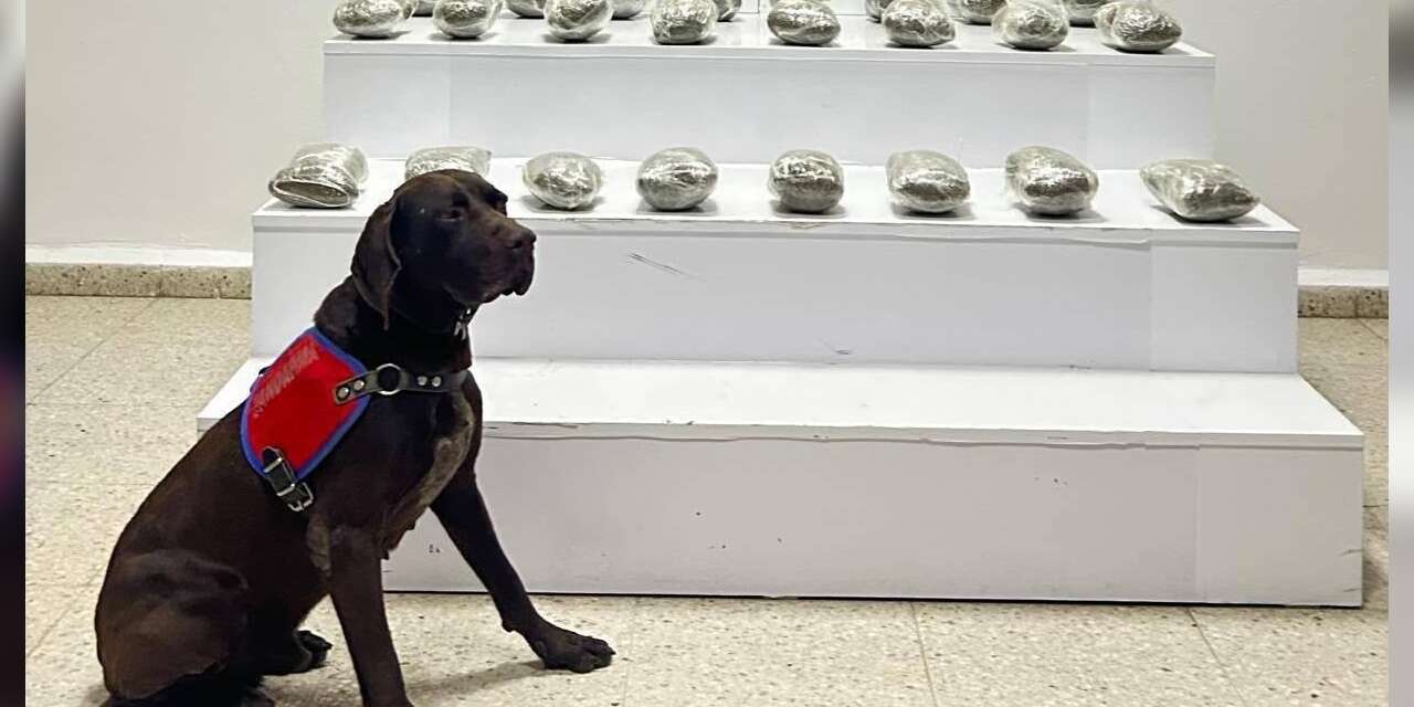 Başkale’de 10 kilo toz esrar ele geçirildi