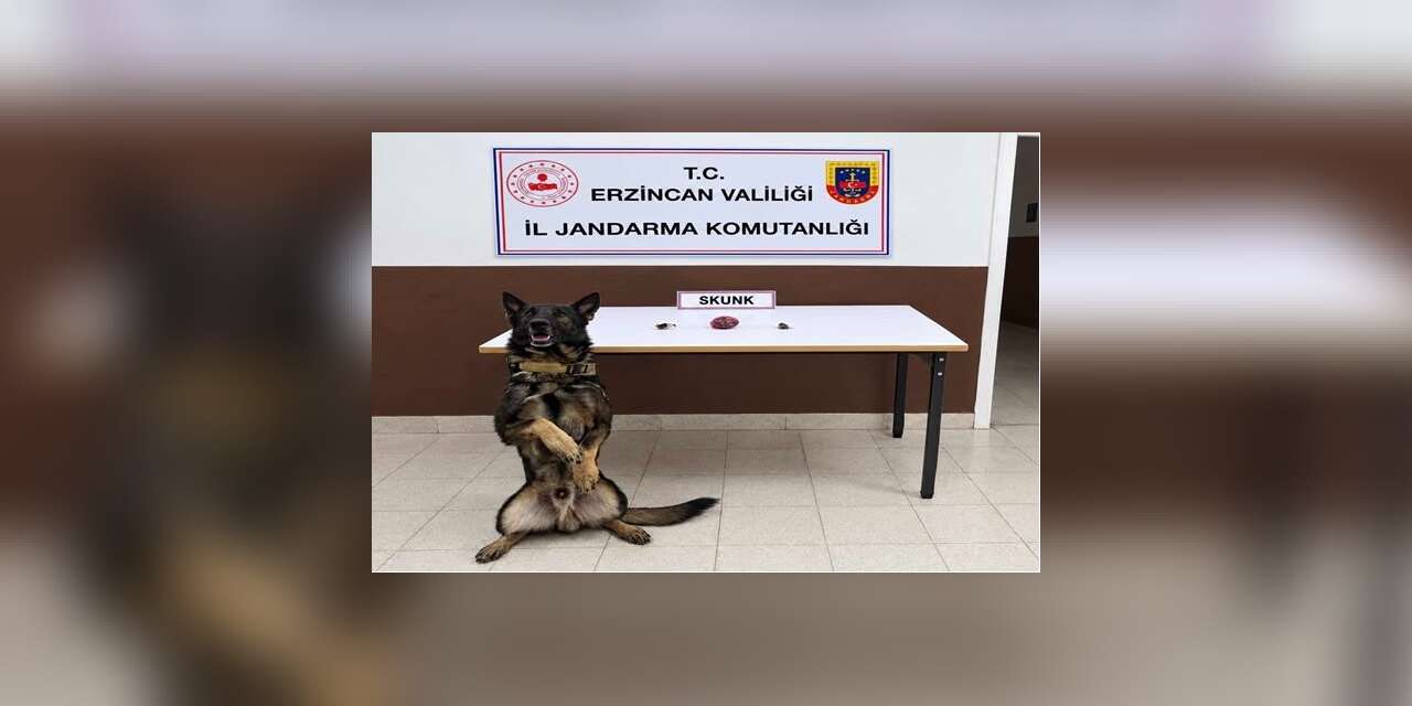 Erzincan’da bonzai hammaddesi ve skunk ele geçirildi