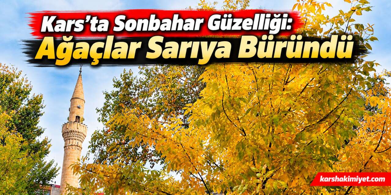 Kars’ta Sonbahar Güzelliği: Ağaçlar Sarıya Büründü