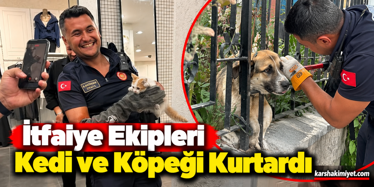 İtfaiye ekipleri duvarda mahsur kalan kedi ile parmaklıklara sıkışan köpeği kurtardı