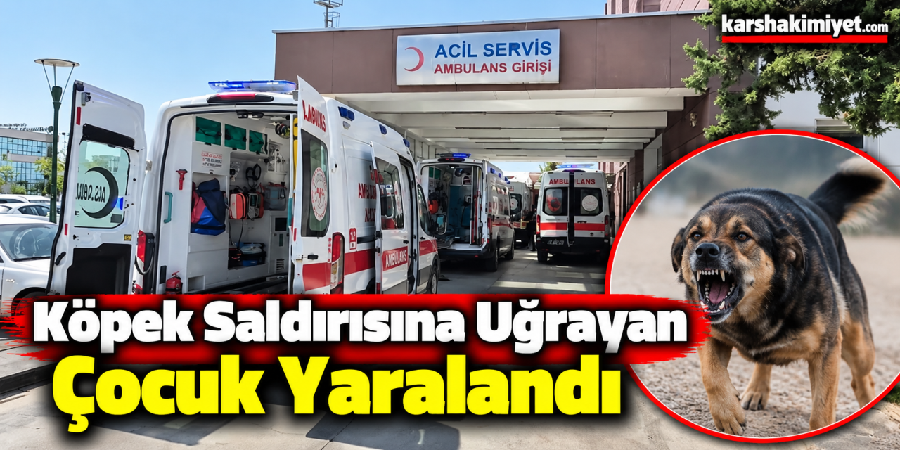 Köpek saldırısına uğrayan çocuk yaralandı