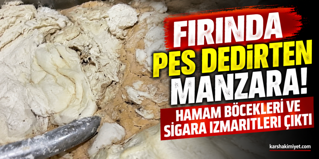Fırında Pes Dedirten Manzara! Hamam Böcekleri ve Sigara İzmaritleri Çıktı