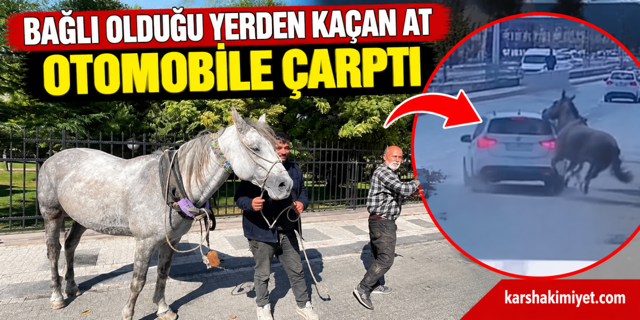Bağlı Olduğu Yerden Kaçan At Otomobile Çarptı