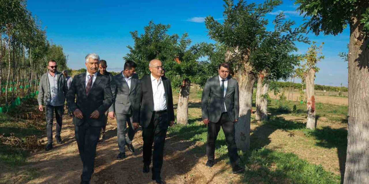 Büyükşehir’den yılda 20 bin fidan ve 50 bin metrekare rulo çim üretimi
