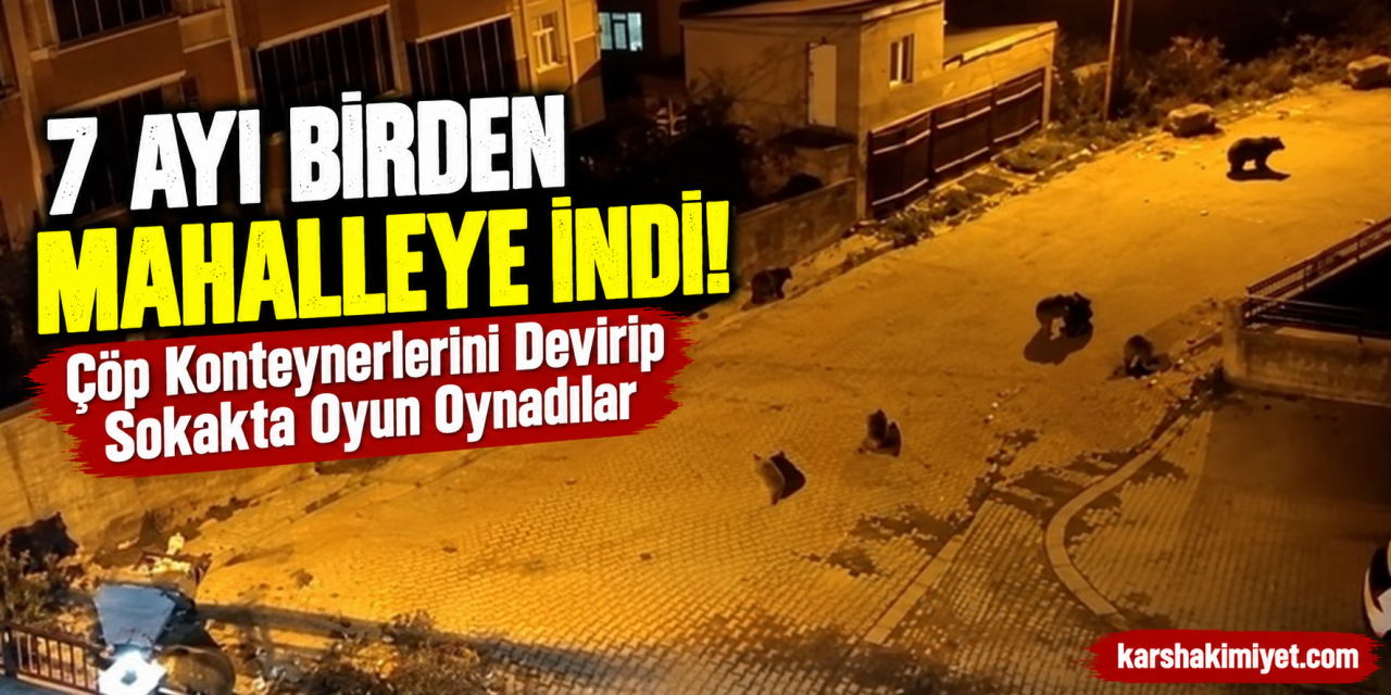 7 Ayı Birden Mahalleye İndi! Çöp Konteynerlerini Devirip Sokakta Oyun Oynadılar