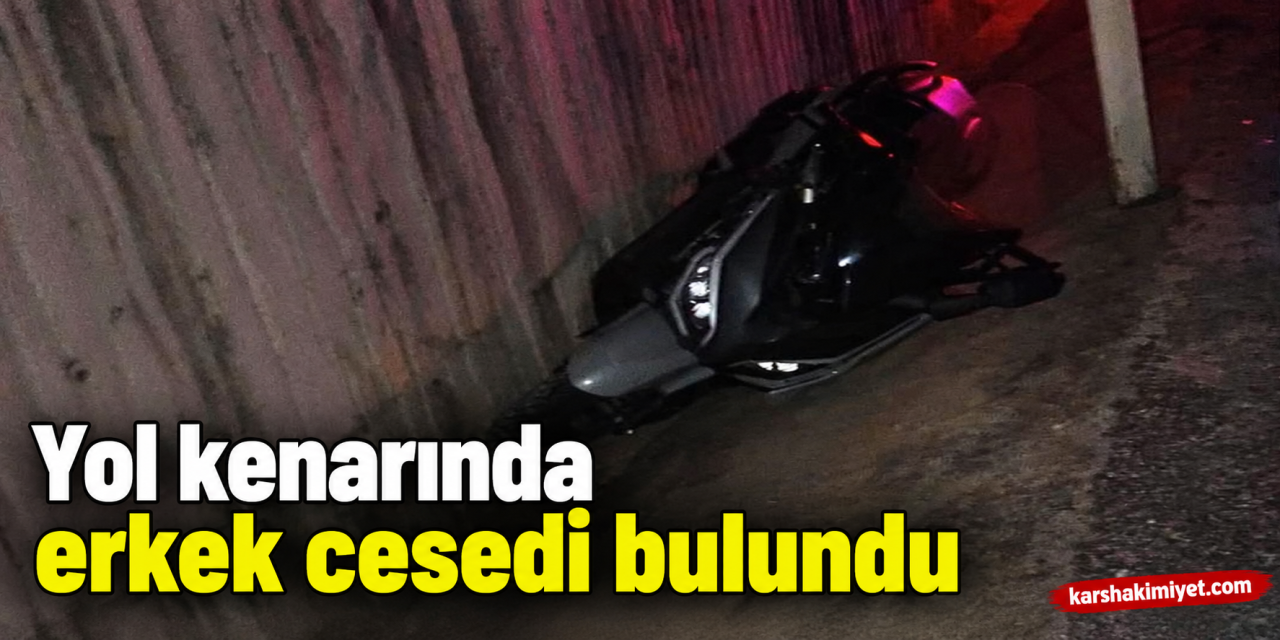 Yol kenarında erkek cesedi bulundu