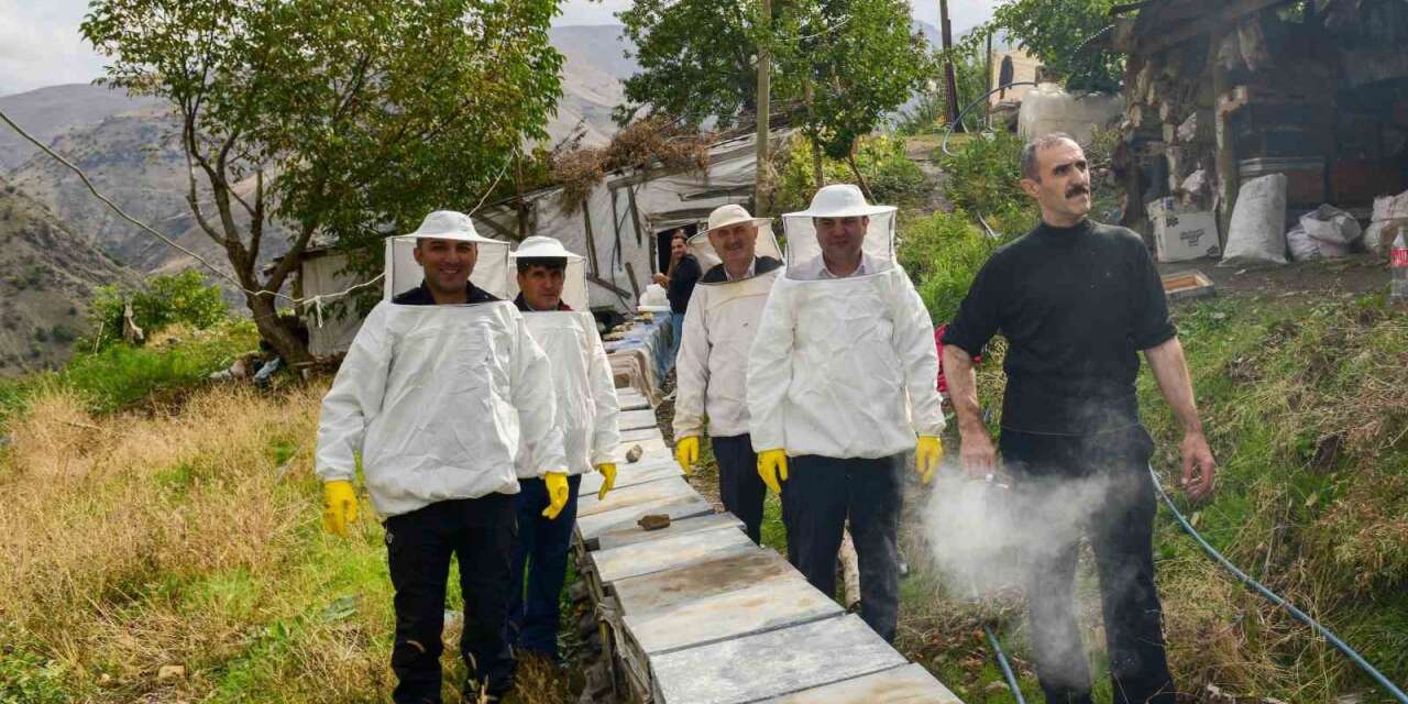 Çatak’ta karakovan balının hasadı yapıldı