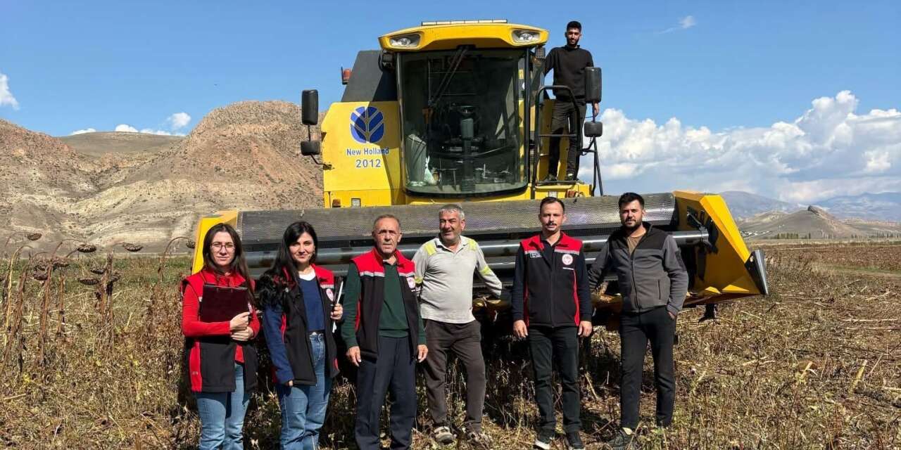 Erzincan’da ayçiçeği hasadında dane kaybına sıkı denetim