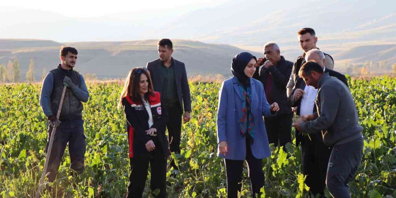 Tercan’da çiftçilere ziyaret