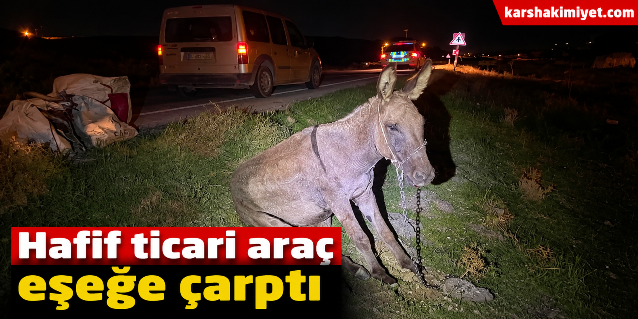 Hafif ticari araç eşeğe çarptı