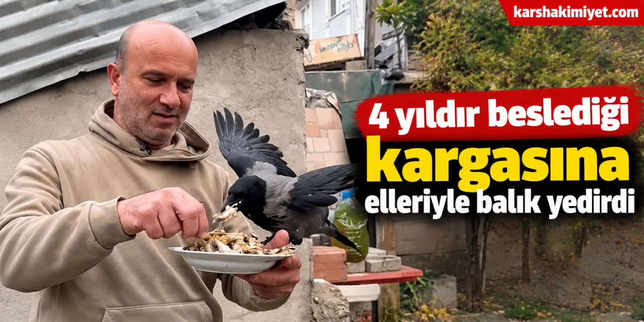 4 yıldır beslediği kargasına elleriyle balık yedirdi