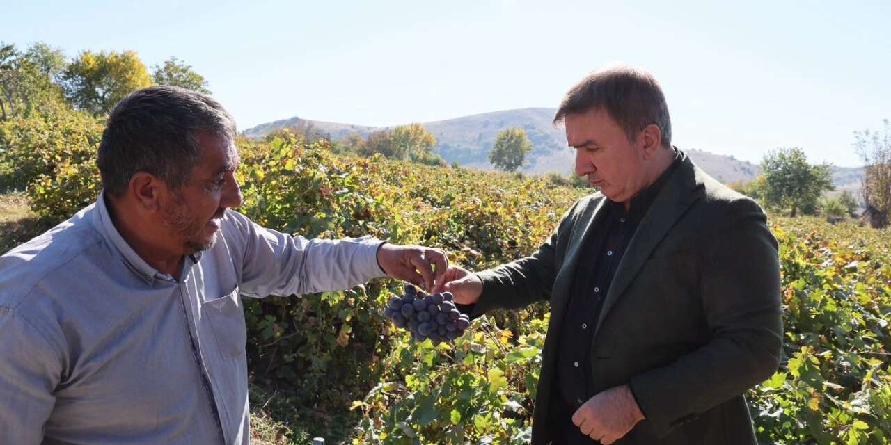 Vali Aydoğdu, üzüm hasadı yapan üreticiyi ziyaret etti