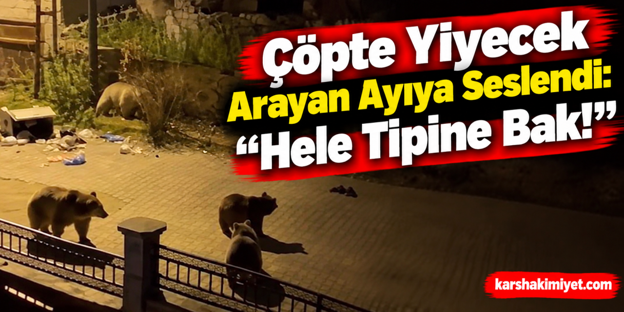 Çöpte Yiyecek Arayan Ayıya Seslendi: “Hele Tipine Bak!”