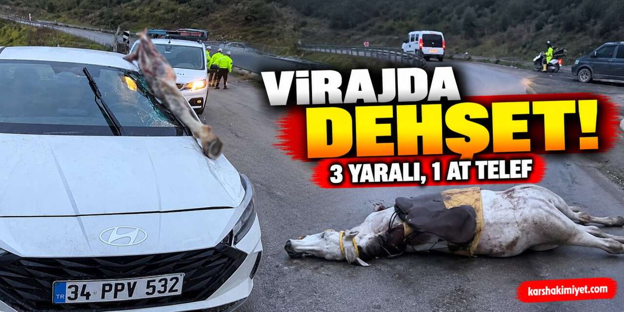 Virajda Dehşet! 3 Yaralı, 1 At Telef