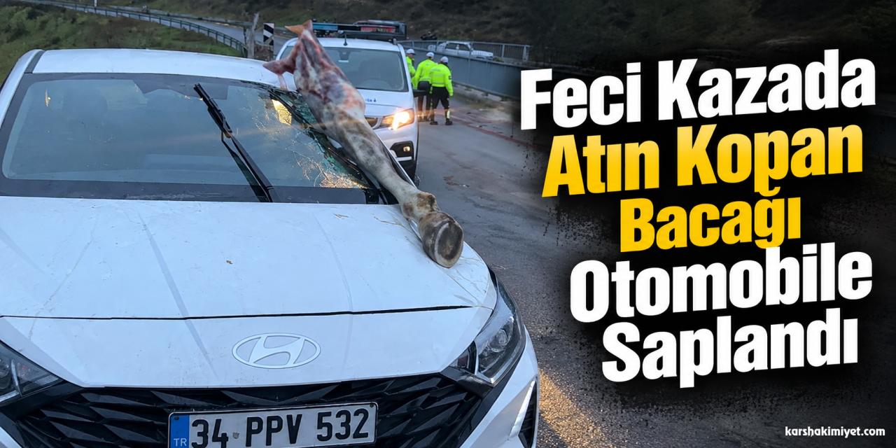 Feci Kazada Atın Kopan Bacağı Otomobile Saplandı