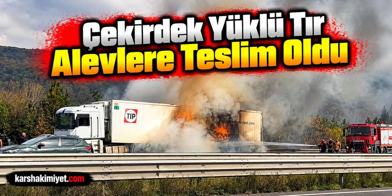 Çekirdek Yüklü Tır Alevlere Teslim Oldu