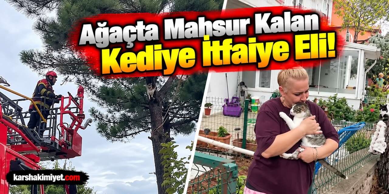 Ağaçta Mahsur Kalan Kediye İtfaiye Eli!