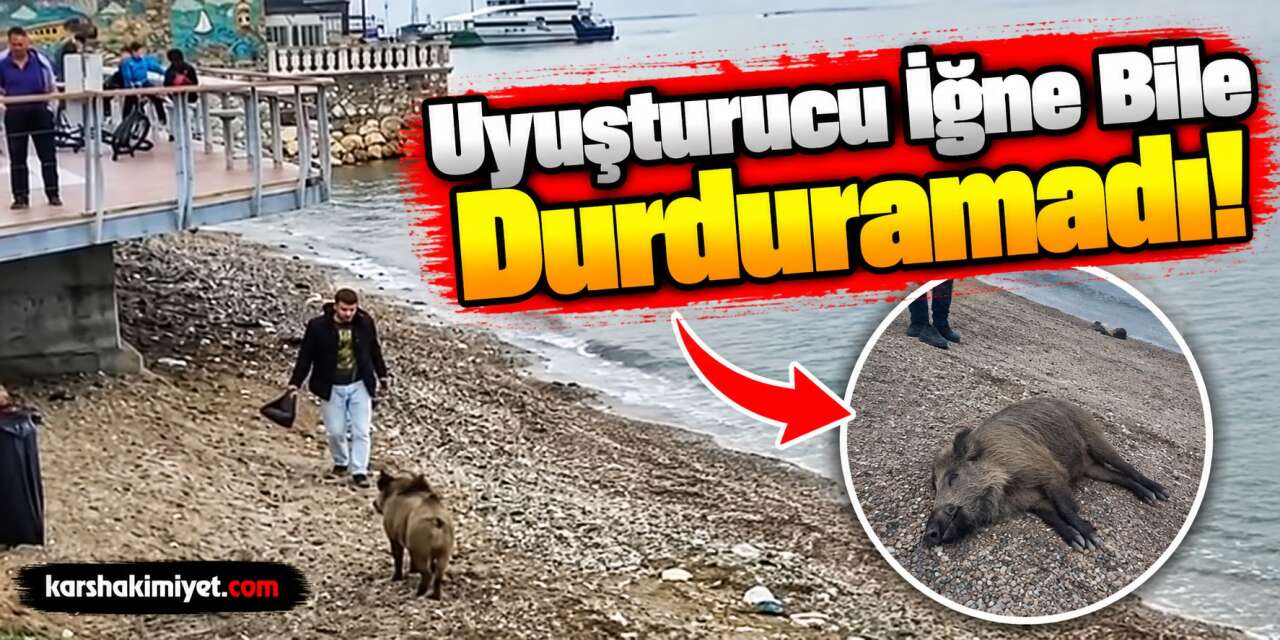 Uyuşturucu İğne Bile Durduramadı!
