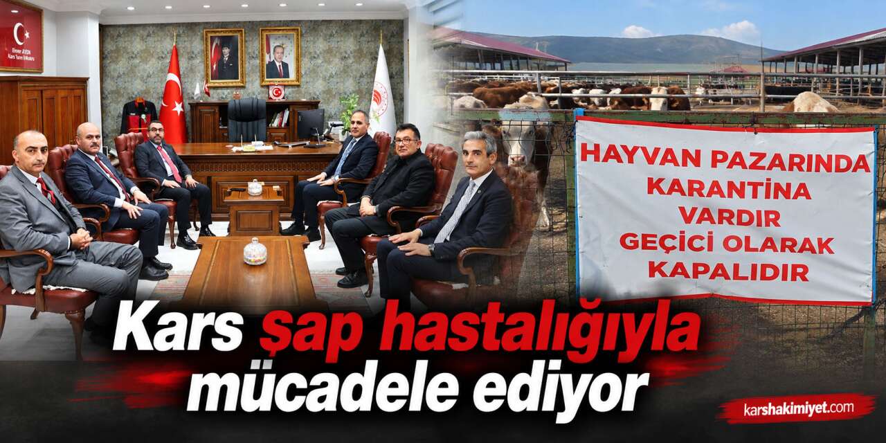 Kars şap hastalığıyla mücadele ediyor