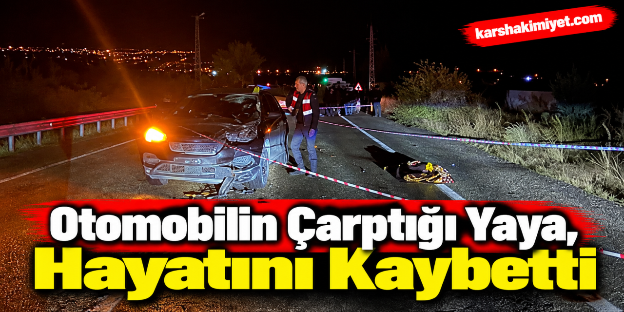 Otomobilin çarptığı yaya, hayatını kaybetti