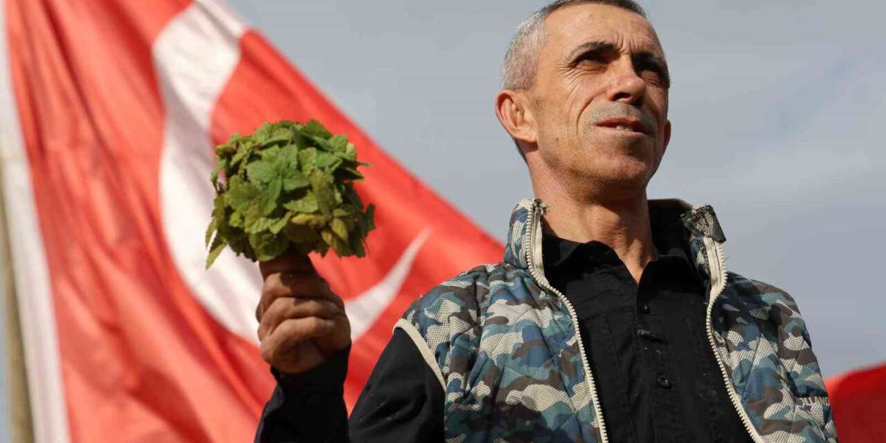 Beş dönümlük dağlık araziyi, tıbbi aromatik bitki bahçesine çevirdi
