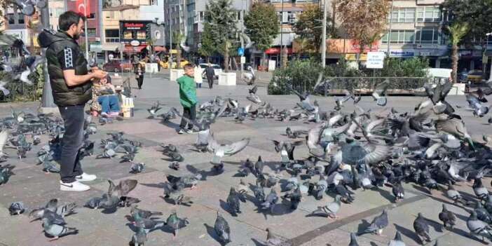 Bir yerde kış bir yerde yaz