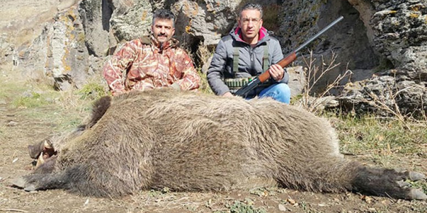 Kars’ta, avcılar tarafından vurulan en büyük yaban domuzu