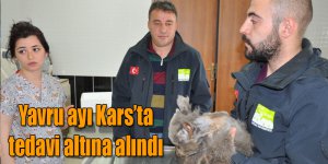 Yavru ayı Kars’ta tedavi altına alındı