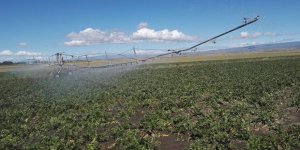 Kars tarımda tamburalı sulama sistemi