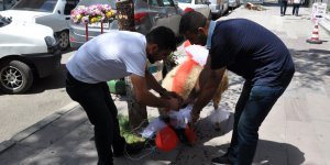 Kars’ta gelin koçu geleneği sürüyor
