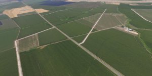 DSİ Genel Müdürü Mevlüt Aydın: “Arazi Toplulaştırmasında Hedef 8,5 Milyon Hektar”