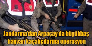 Jandarma’dan Arpaçay’da büyükbaş hayvan kaçakçılarına operasyon