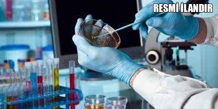 Tıbbi Gaz, Medikal Gaz Satın Alınacak