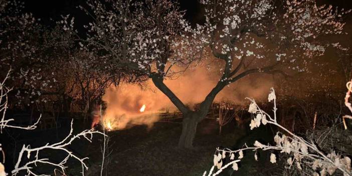 Kayısı bahçelerini ateş ve dumanla donmaya karşı koruyorlar