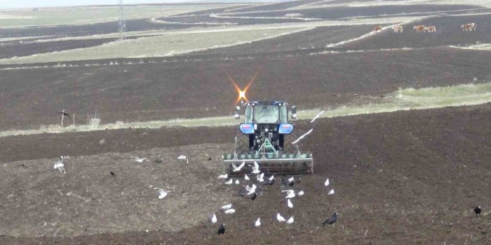 Kars’ta kış uzadı, ekim gecikti: Çiftçi zamanla yarışıyor